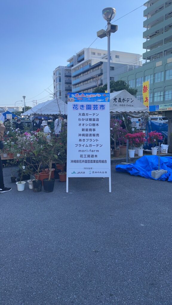 沖縄市　多肉植物　2023年花と食のフェスティバル　B型事業所