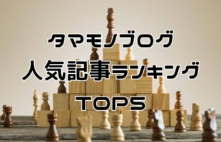 タマモノブログ人気記事ランキングのアイキャッチ