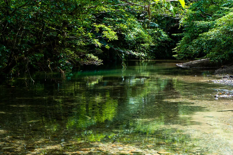 比地側　水遊び