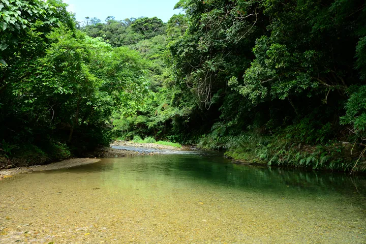 源河川