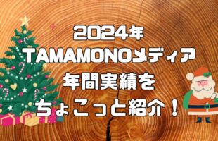 2024年TAMAMONOメディア年間実績ちょこっと紹介